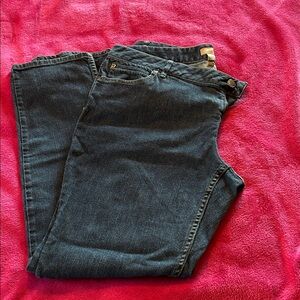 J. Jill Dark Blue Skinny Leg Jeans